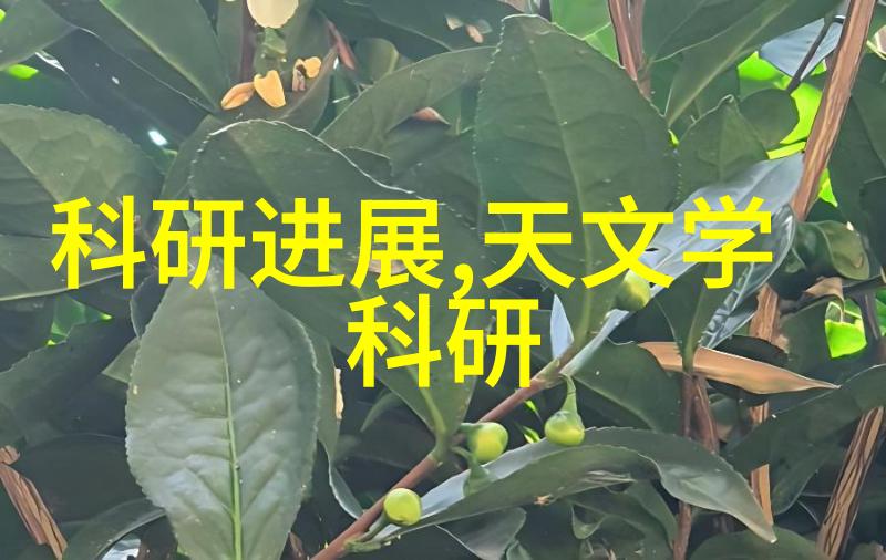 北欧风情小客厅