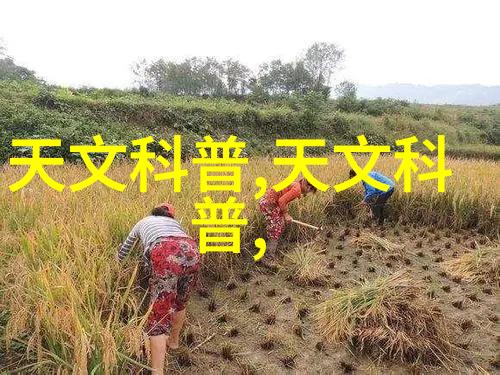 现代简约客厅装修图片