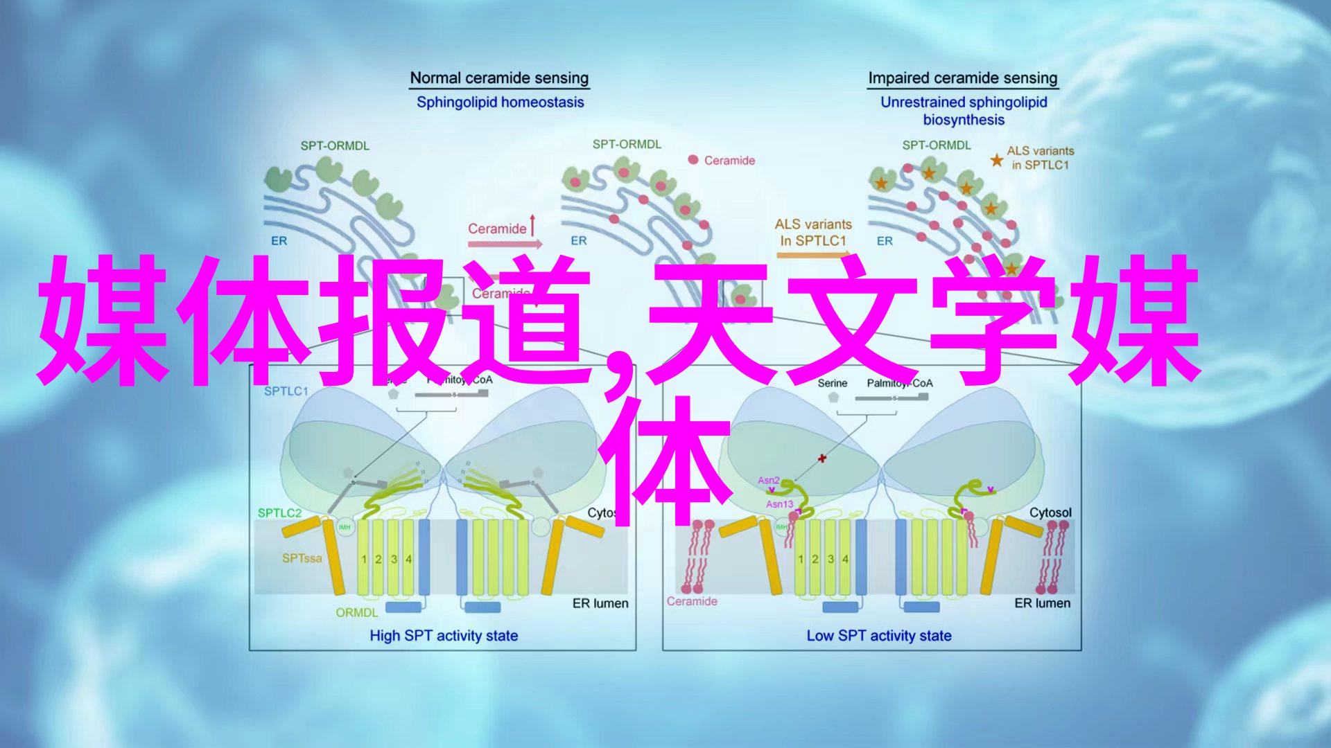 经典简约风格