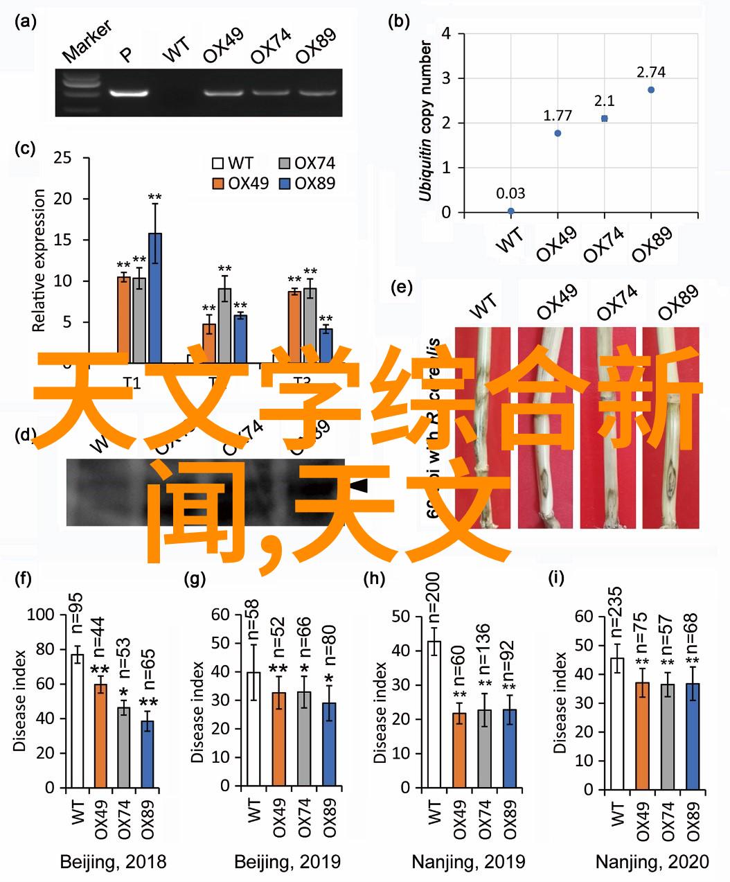 现代简约卧室