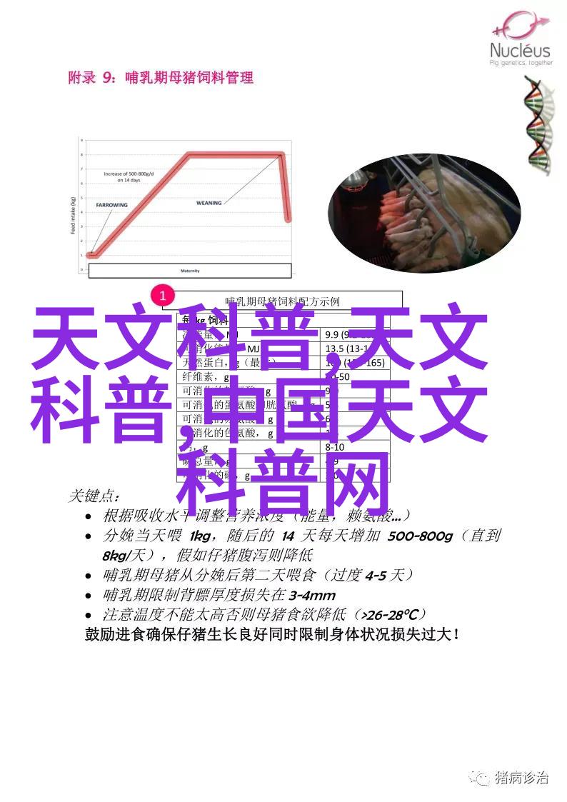 现代科技元素融入厕所